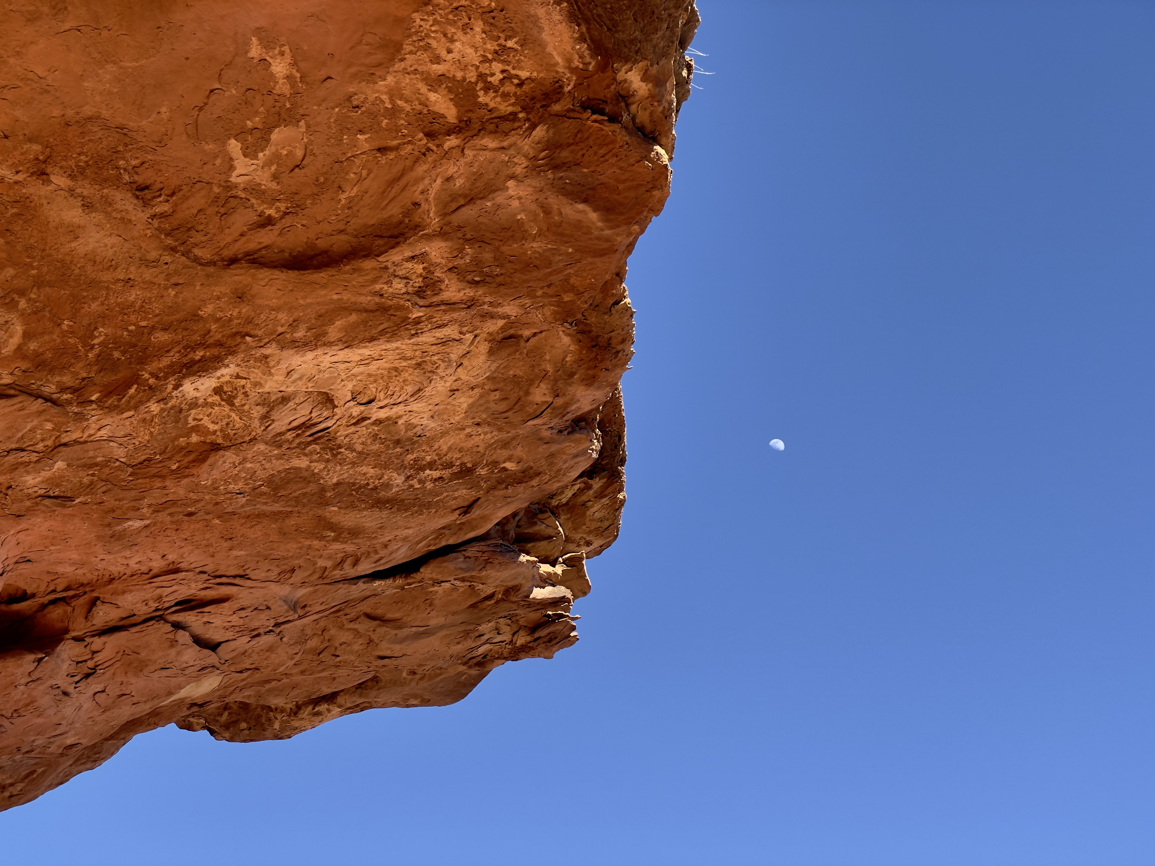 The moon as seen from underneath the rock that gives a nearby trail its name: UFO. To me, it is not as UFO-like as rocks I have seen in Arches, but it certainly has the “suspended in midair” part down. 