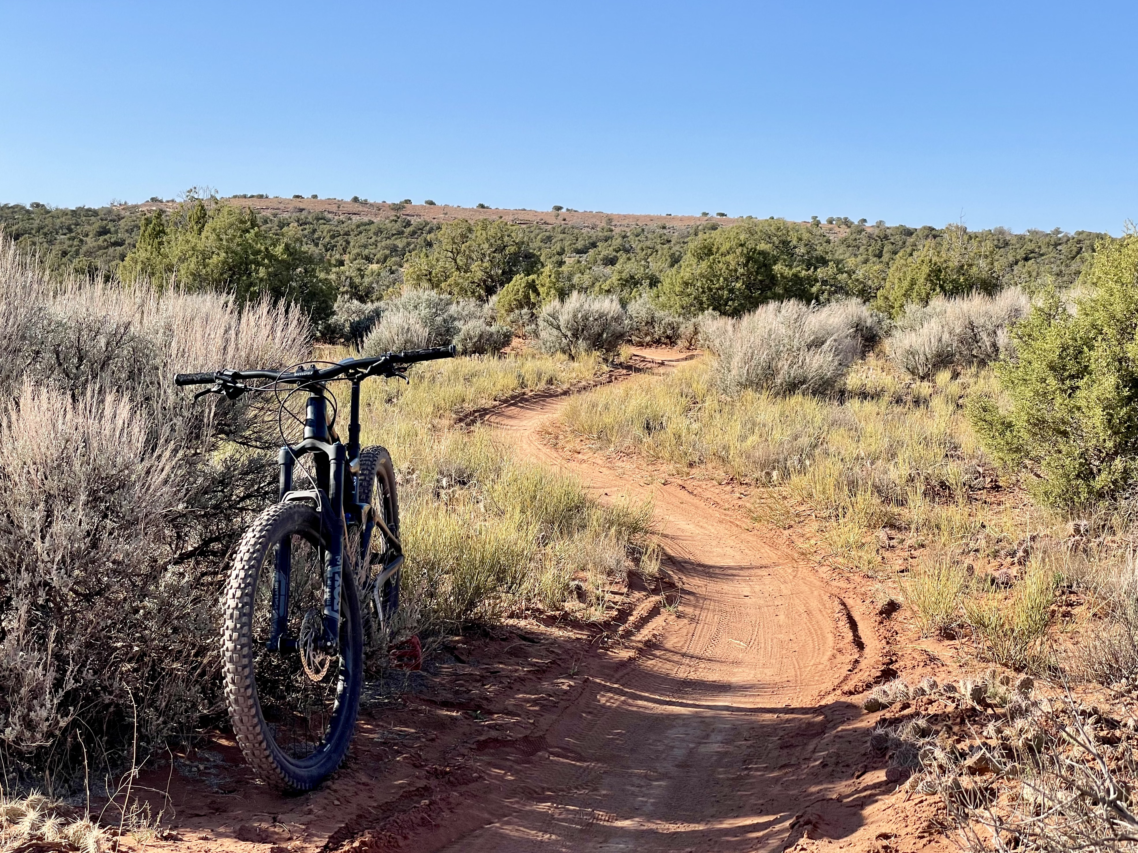 My bike stands by brush, in front of S-shaped curves in the trail.